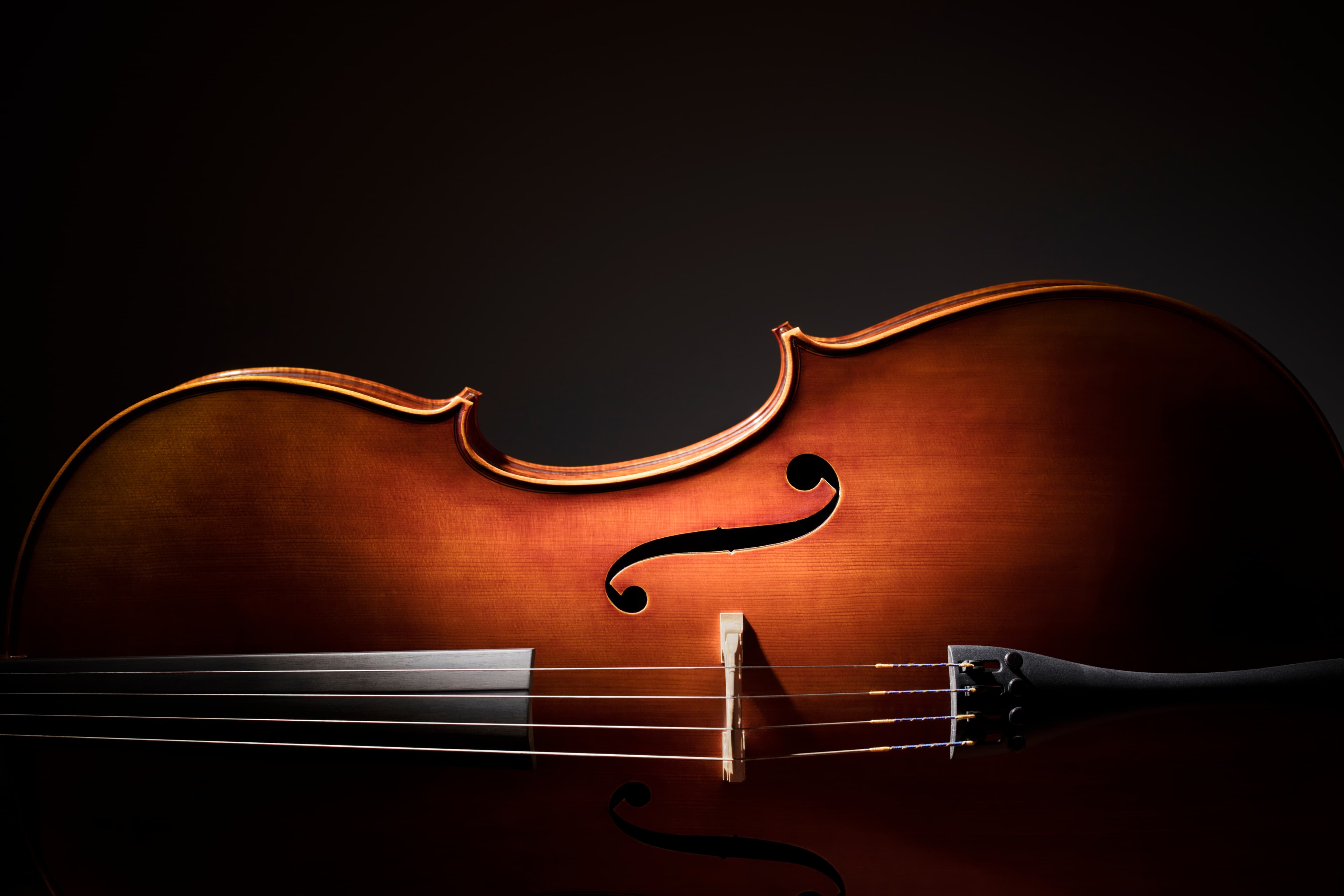 Contact Us Cello Background