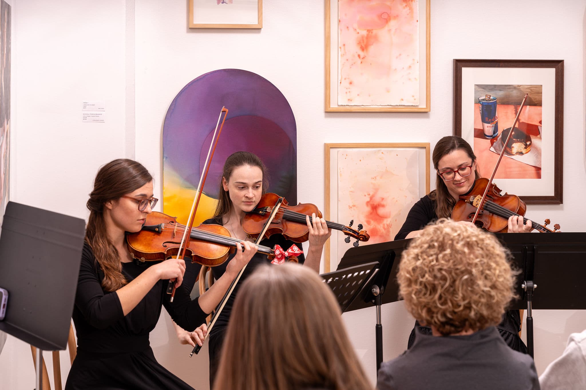 A string trio performance that combines the beauty of violins, and viola, perfect for weddings and receptions.